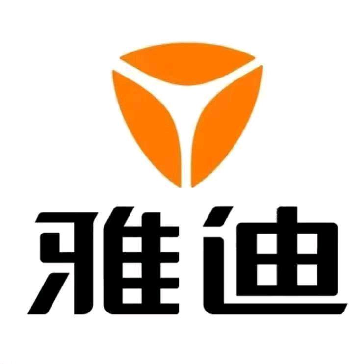 大王英轩一雅迪电动车🛵