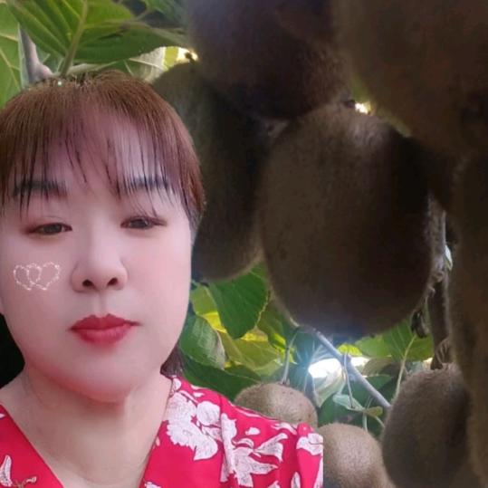 无愿无悔【不定时】