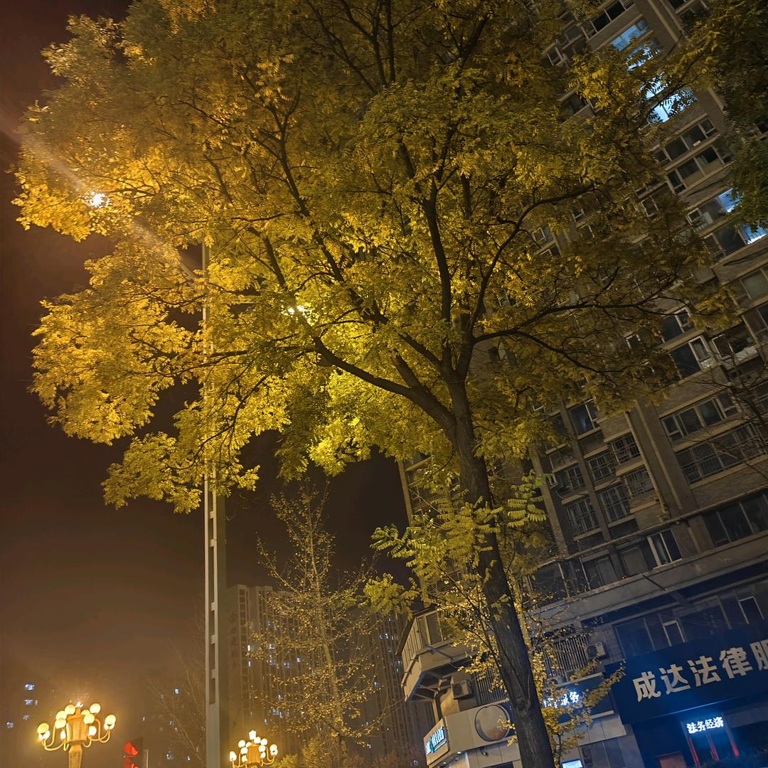沿途的风景