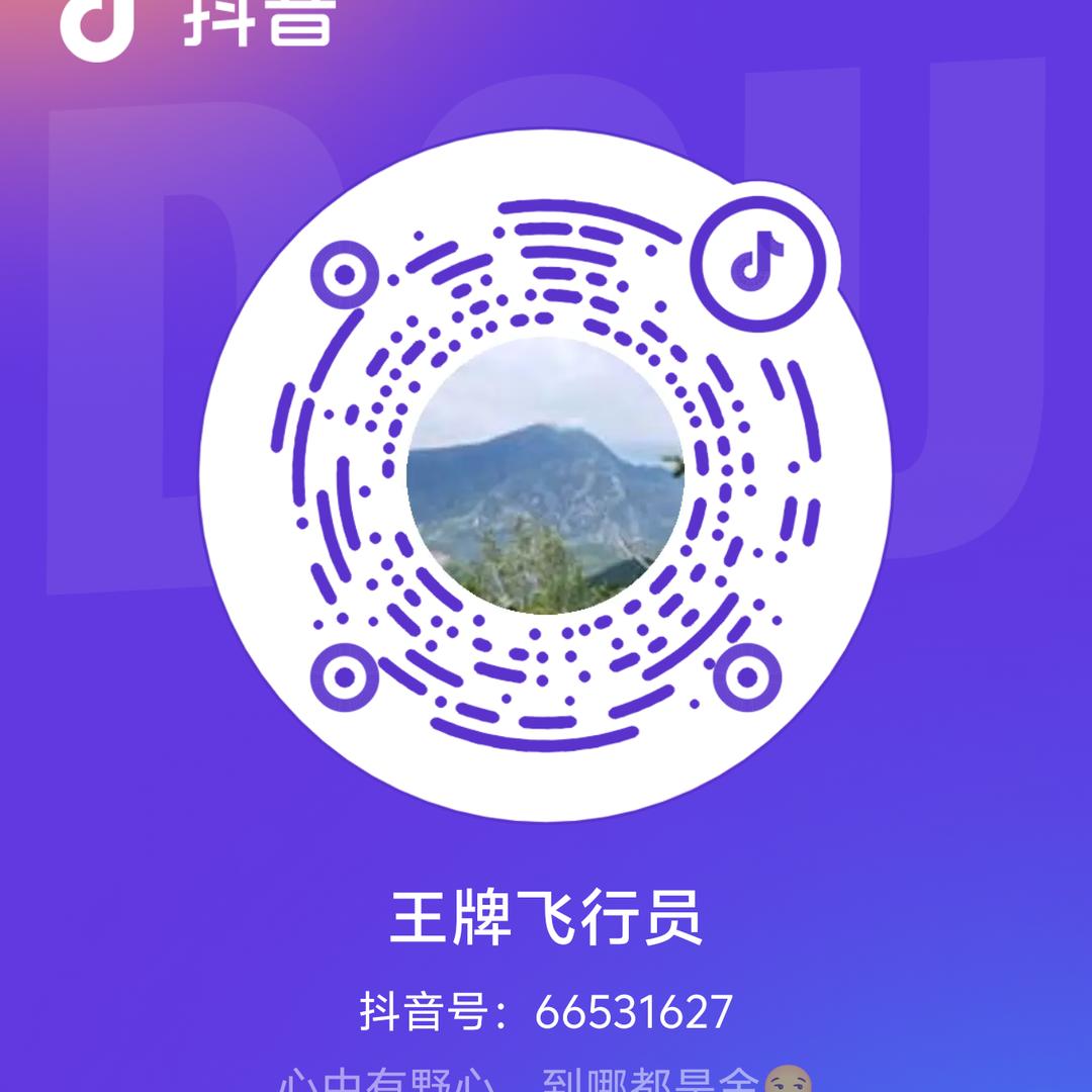 王牌飞行员