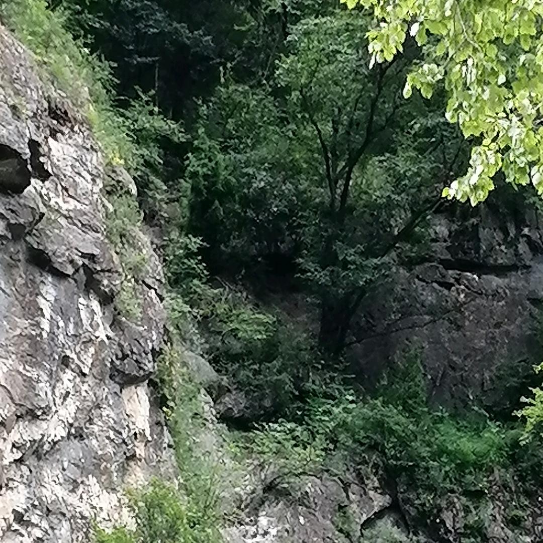 一休