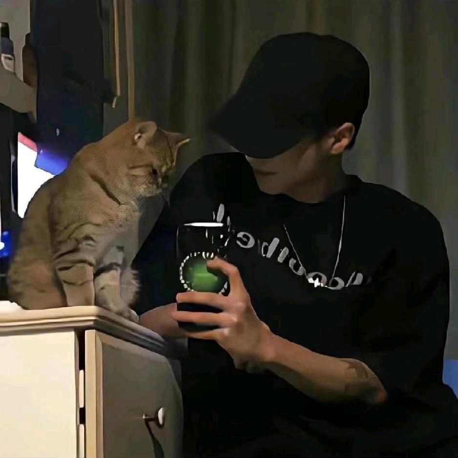 爨巷藏木棉烟火