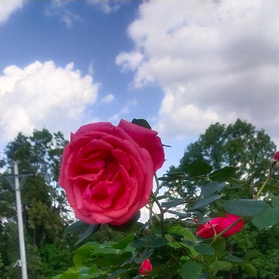 阴阴雨过天晴衣哥潮流服装店