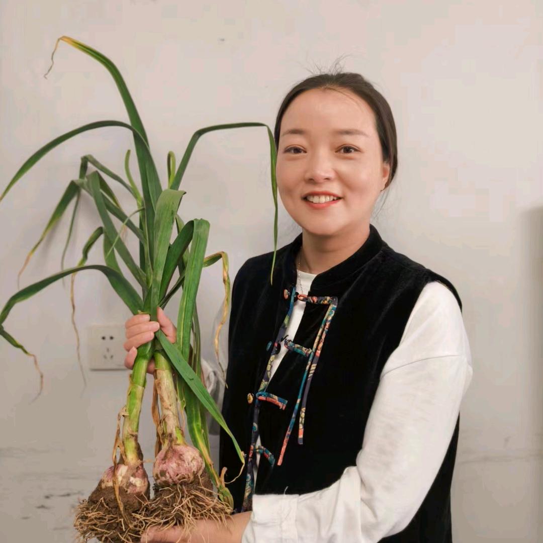菏蒜农业~小玉