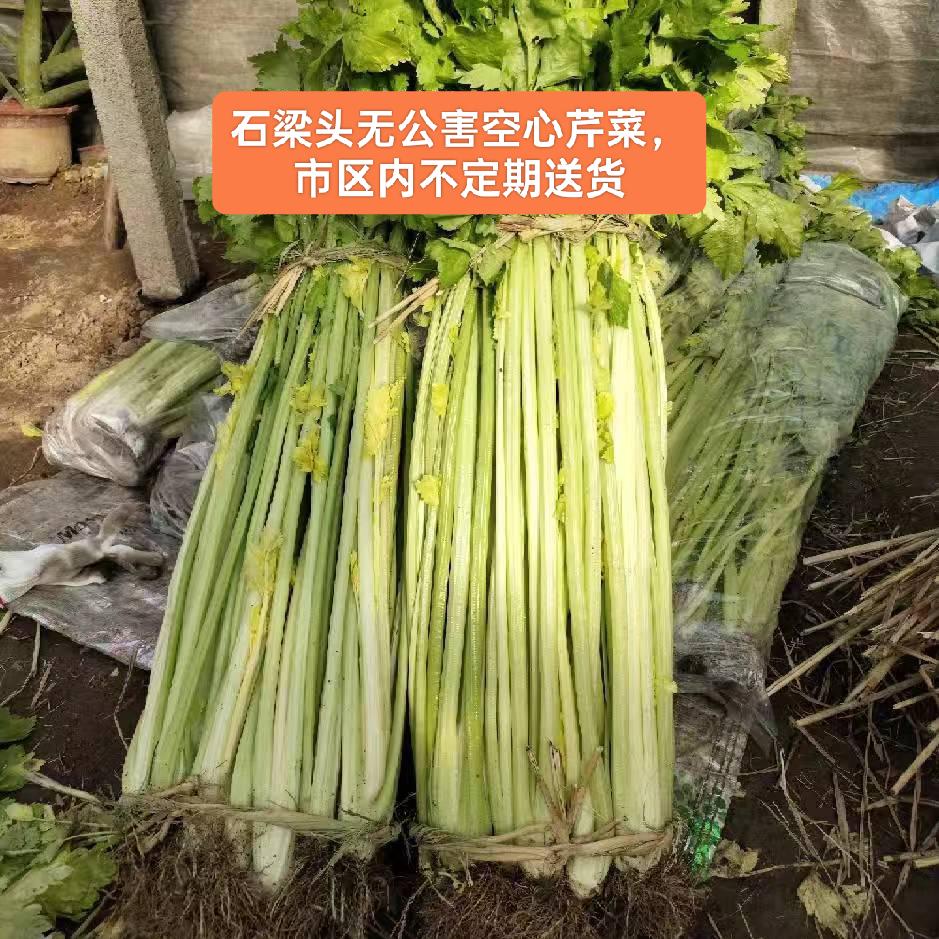 石梁头空心芹菜代办