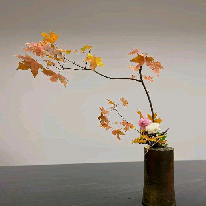 曾经的梦