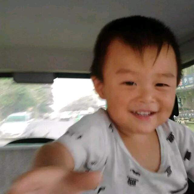 山茶花与白玫瑰