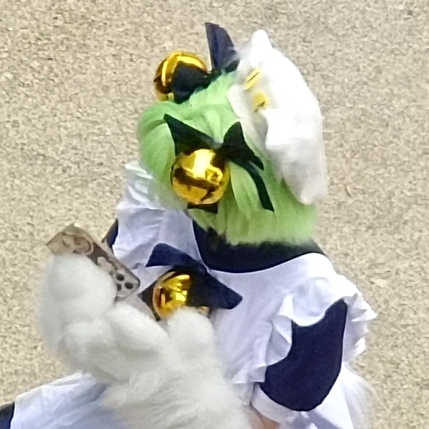 猫不理