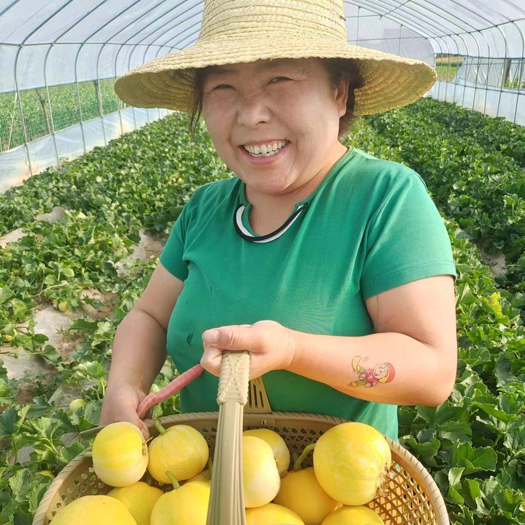 乡村振兴杨美丽瓜果蔬菜采摘