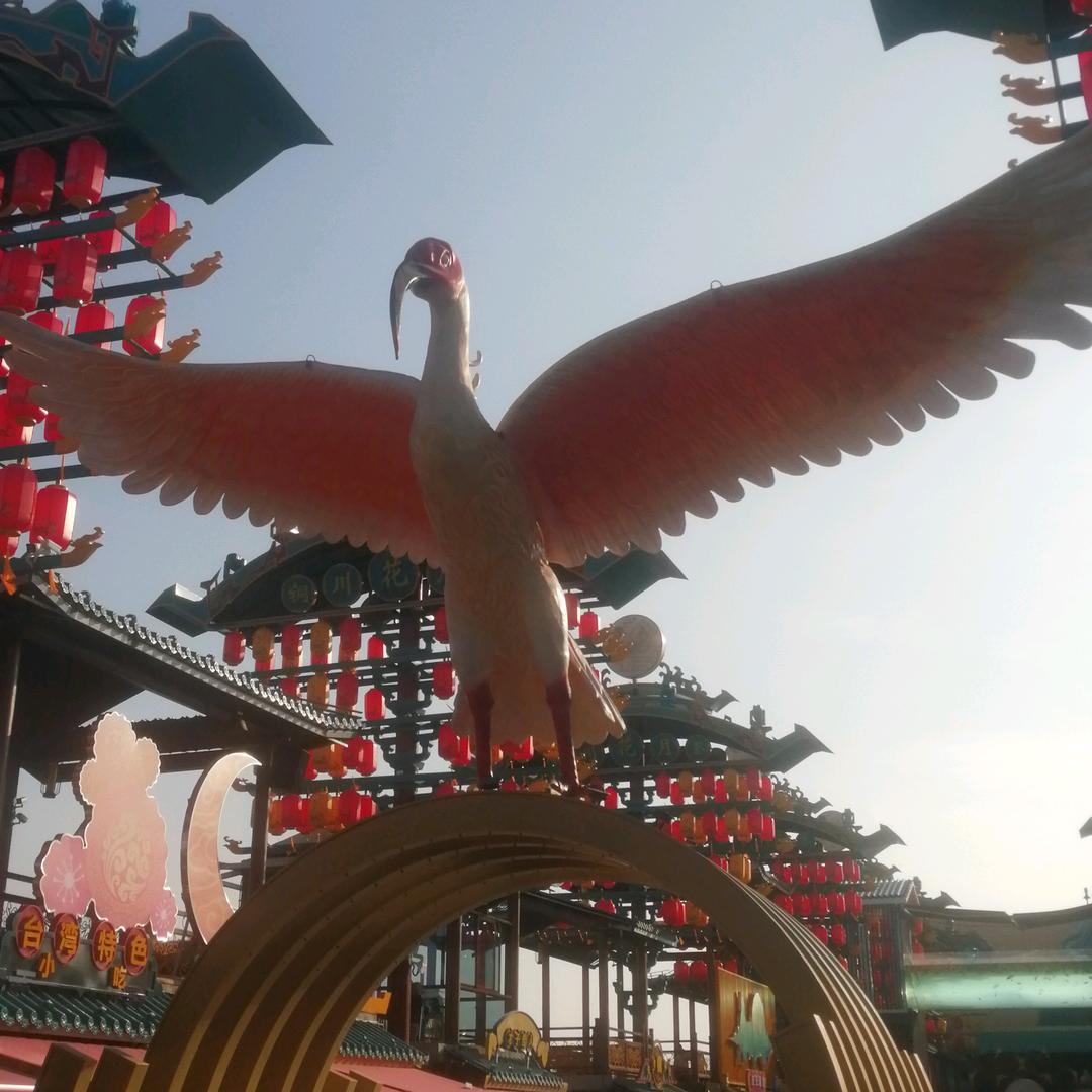云约.