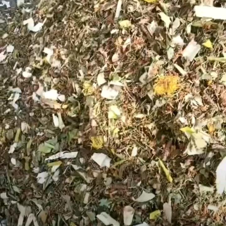 婚姻介意思啊绍所