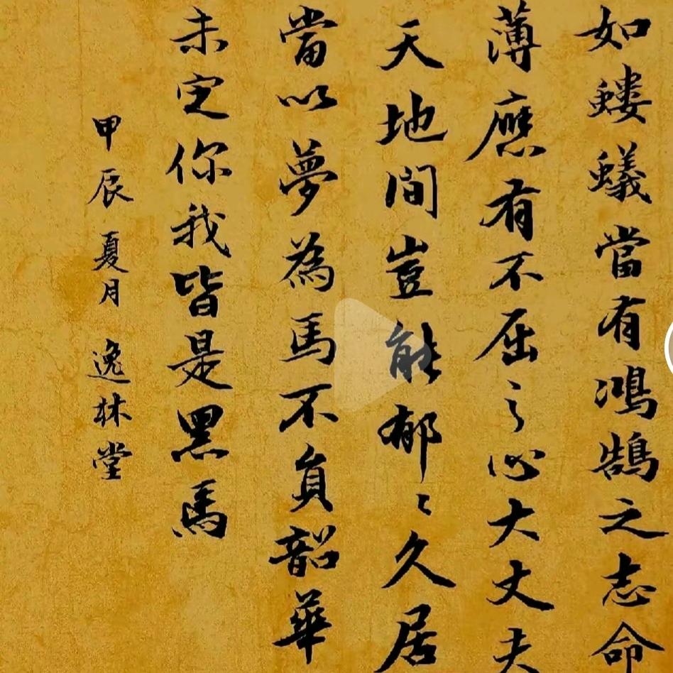 豚豚