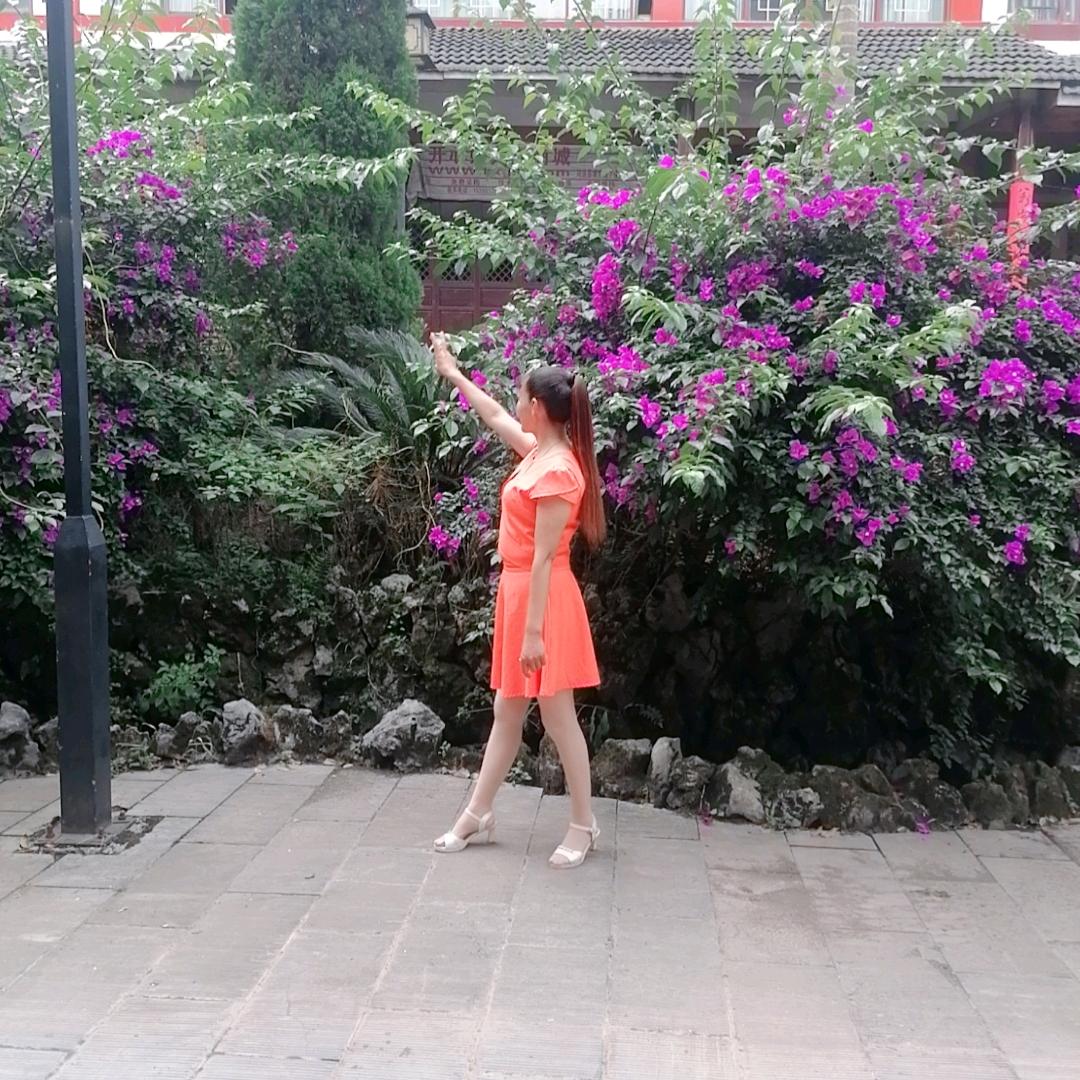 坚持就是胜利Å