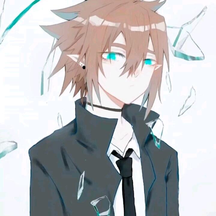 招