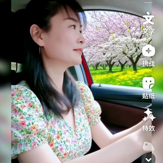 傻女人