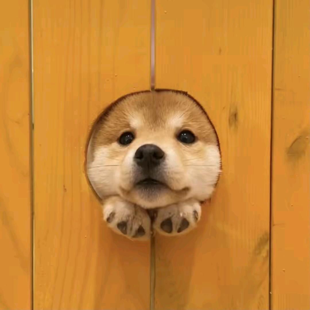 云凡