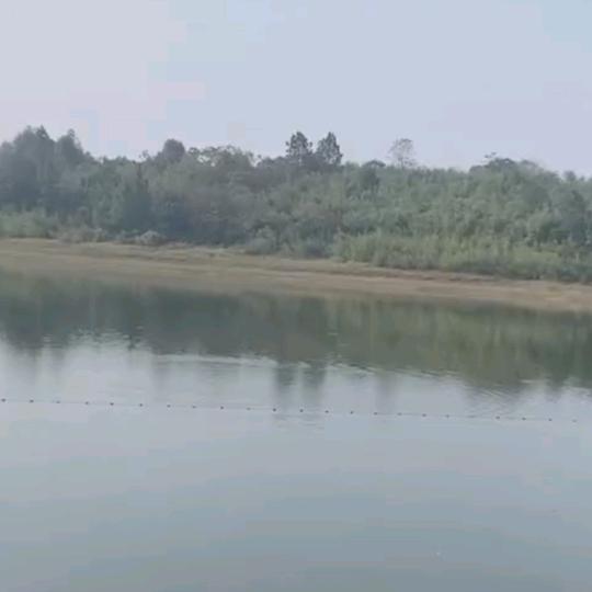 叶子好物～～推荐在橱窗