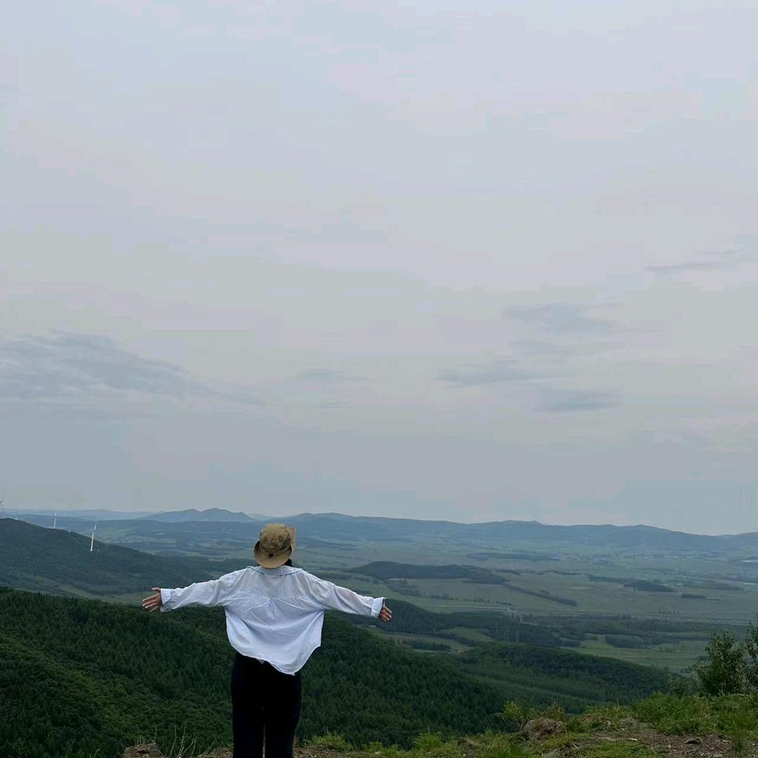 @小白杨