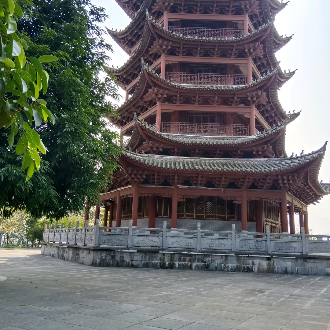 💰钱途随风🤏💍