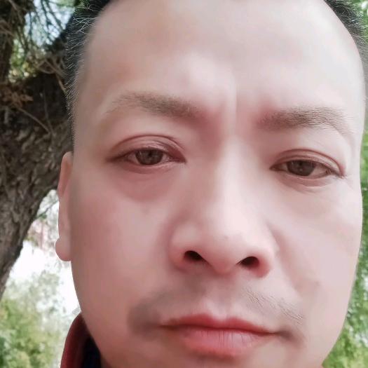 红旗村静儿