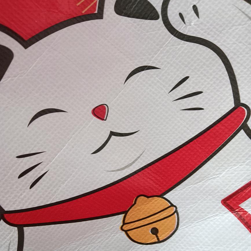 招财猫咪