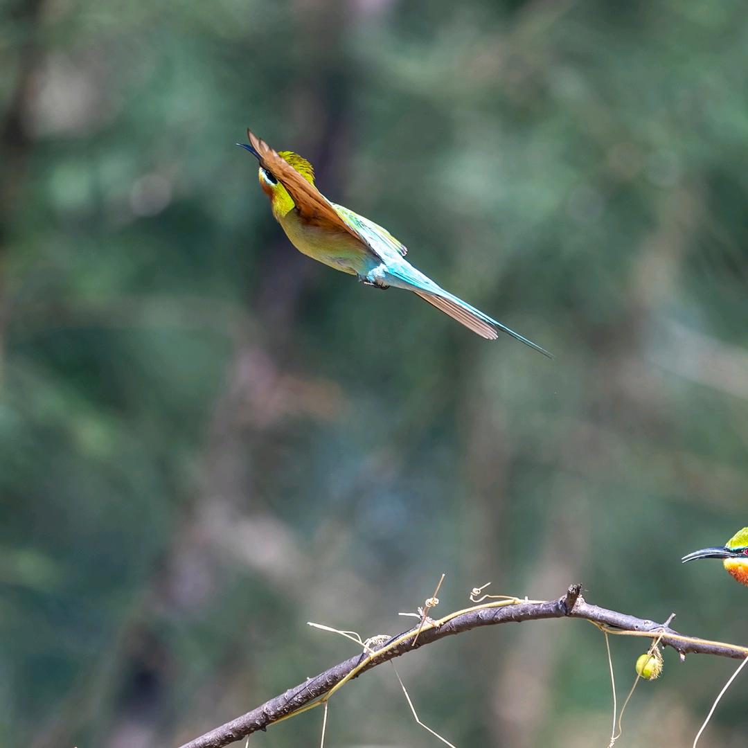 入梦：ʕ ᵔᴥᵔ ʔ爱妃ʕ ᵔᴥᵔ ʔ