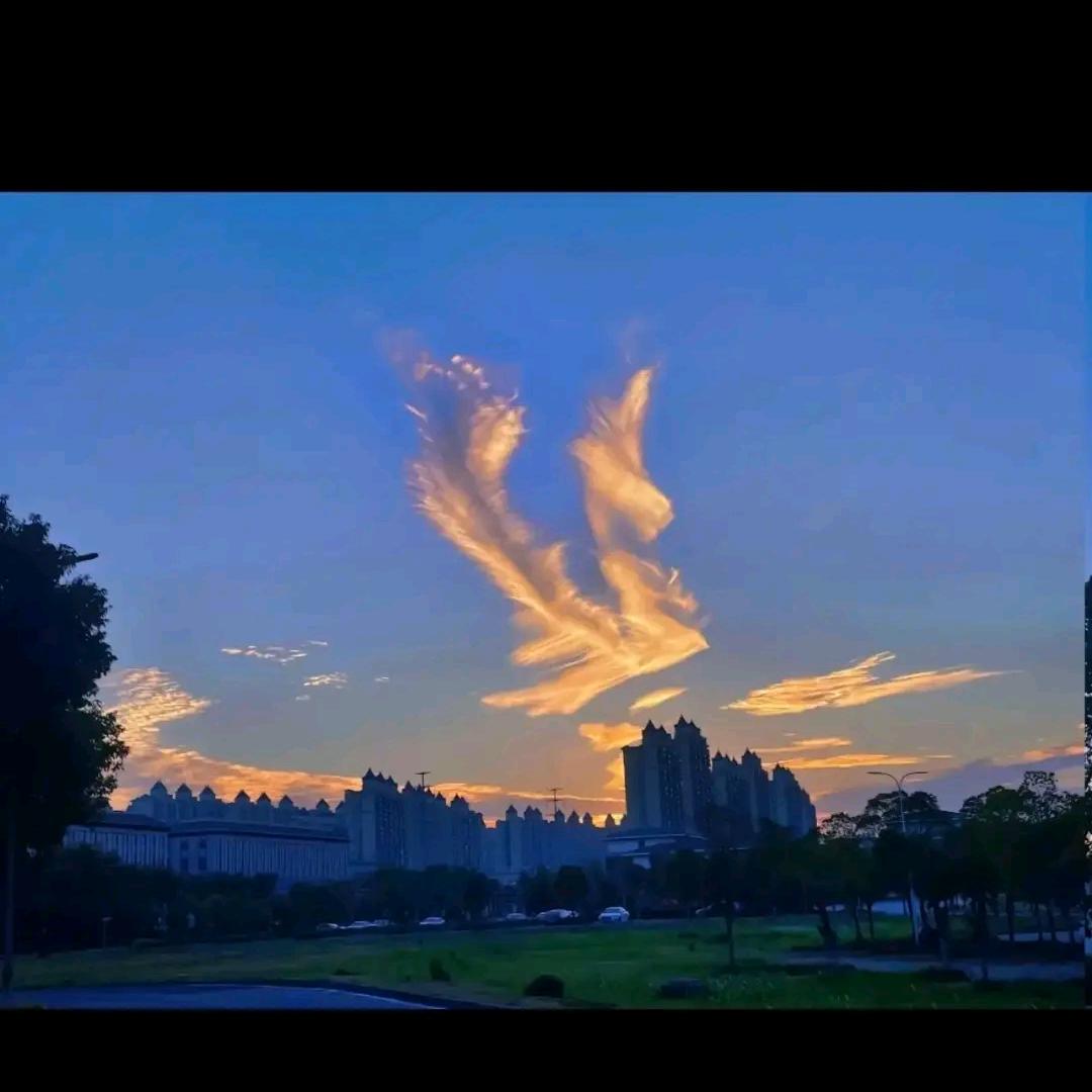 丶行歌