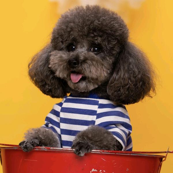 打雷后的狂风暴雨