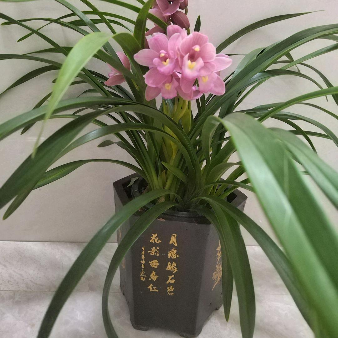 flower~