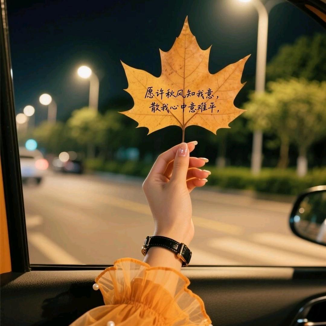 没钞疯😂😂