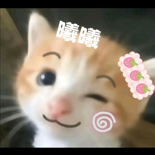 曦嘻头像