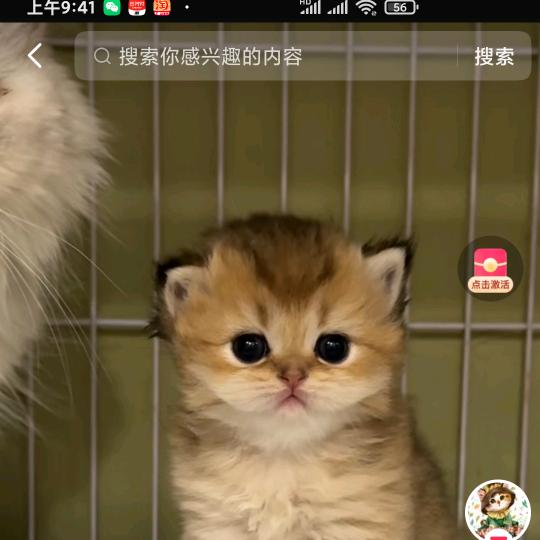 木有名字