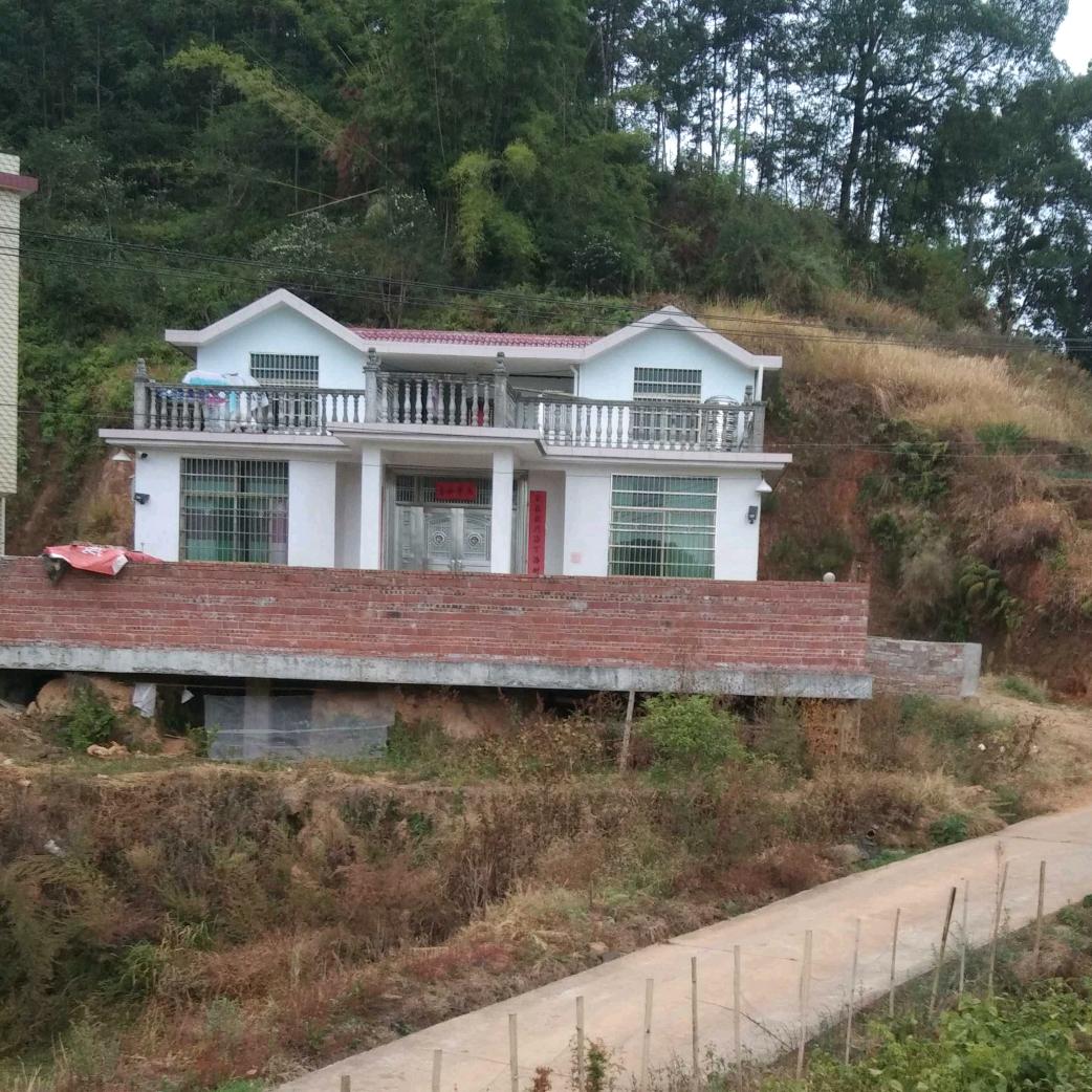 华树