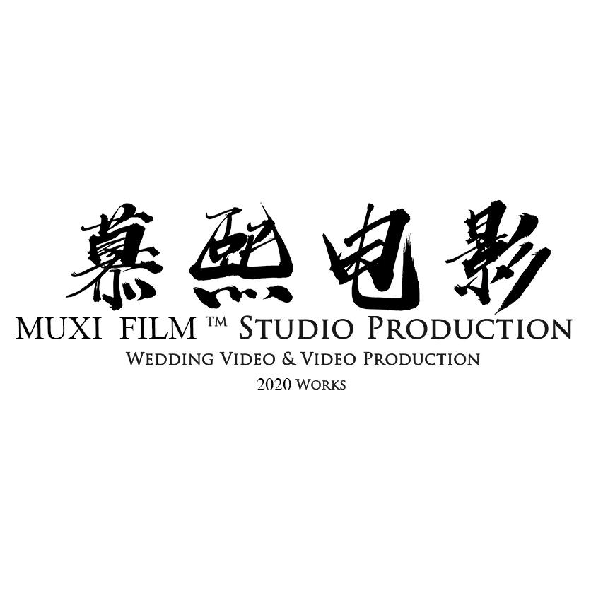 村里来的摄像师