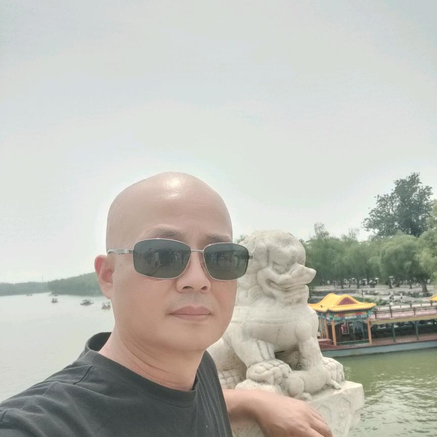 飞鹰