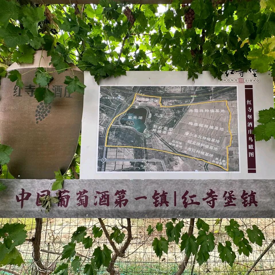学习好物