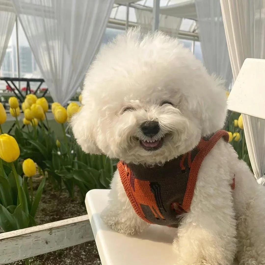 笑笑萌宠生活馆