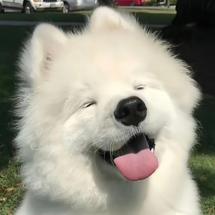 哦哦哦（互动量500）