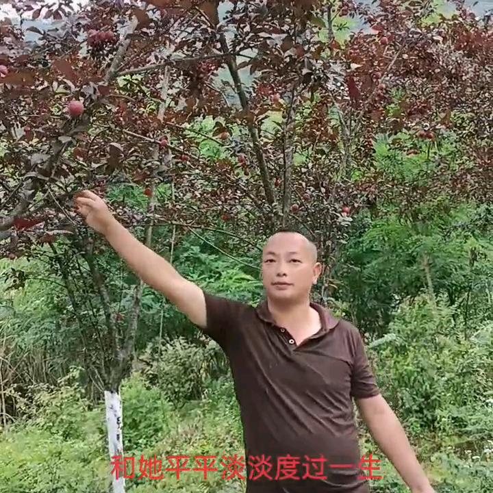 缘分让我认识你