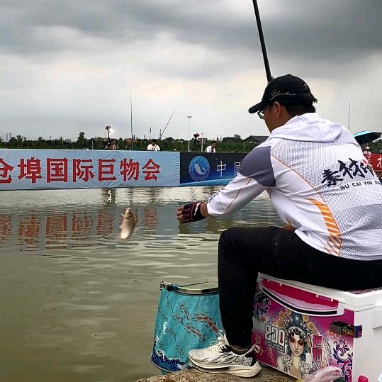 八爪鱼  王小胖