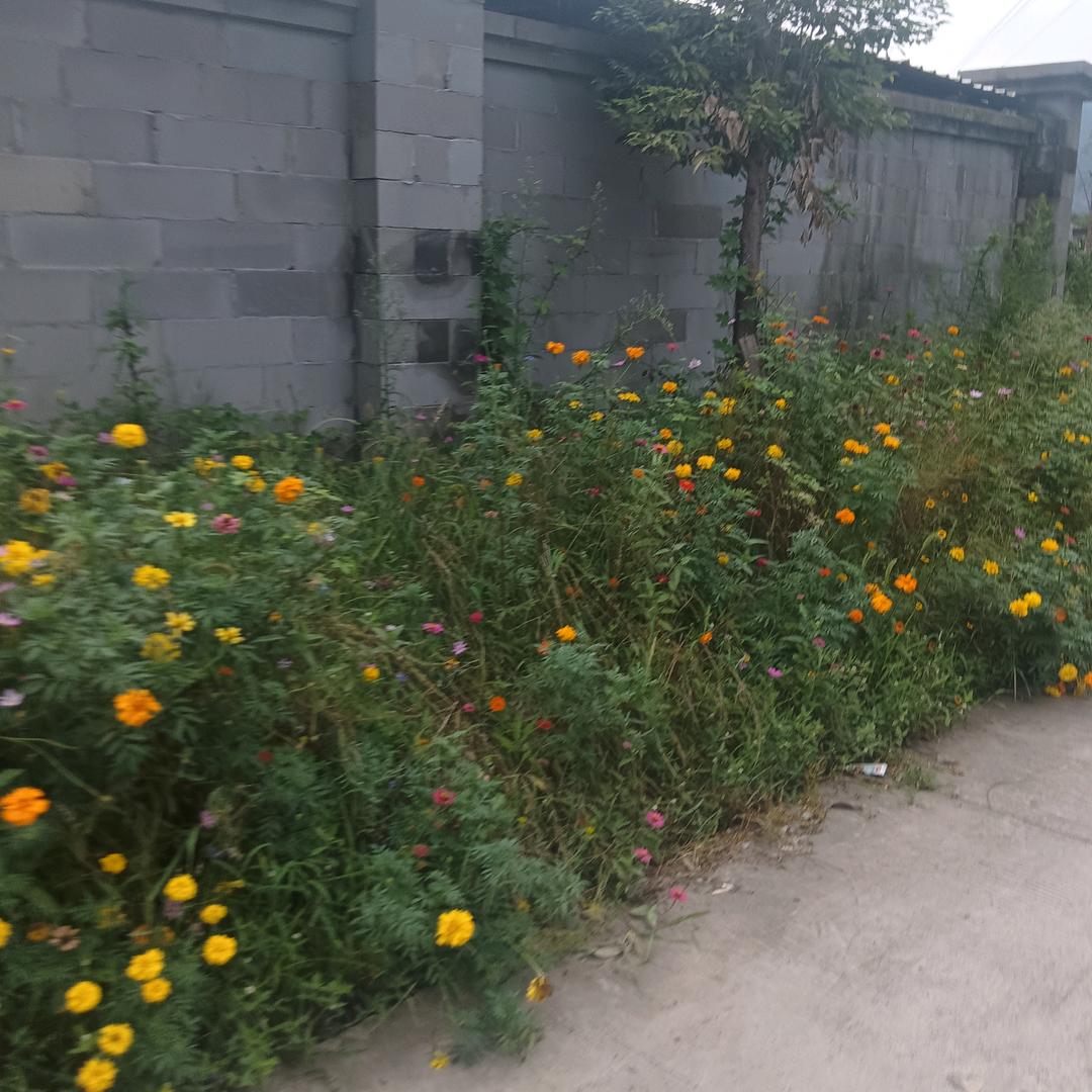 我是真的直播间会聊天早上八开播