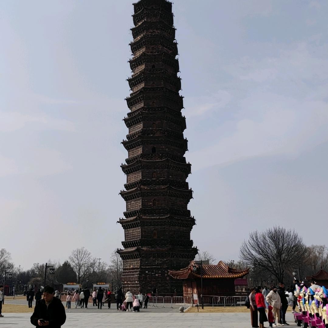 云中飞蝶