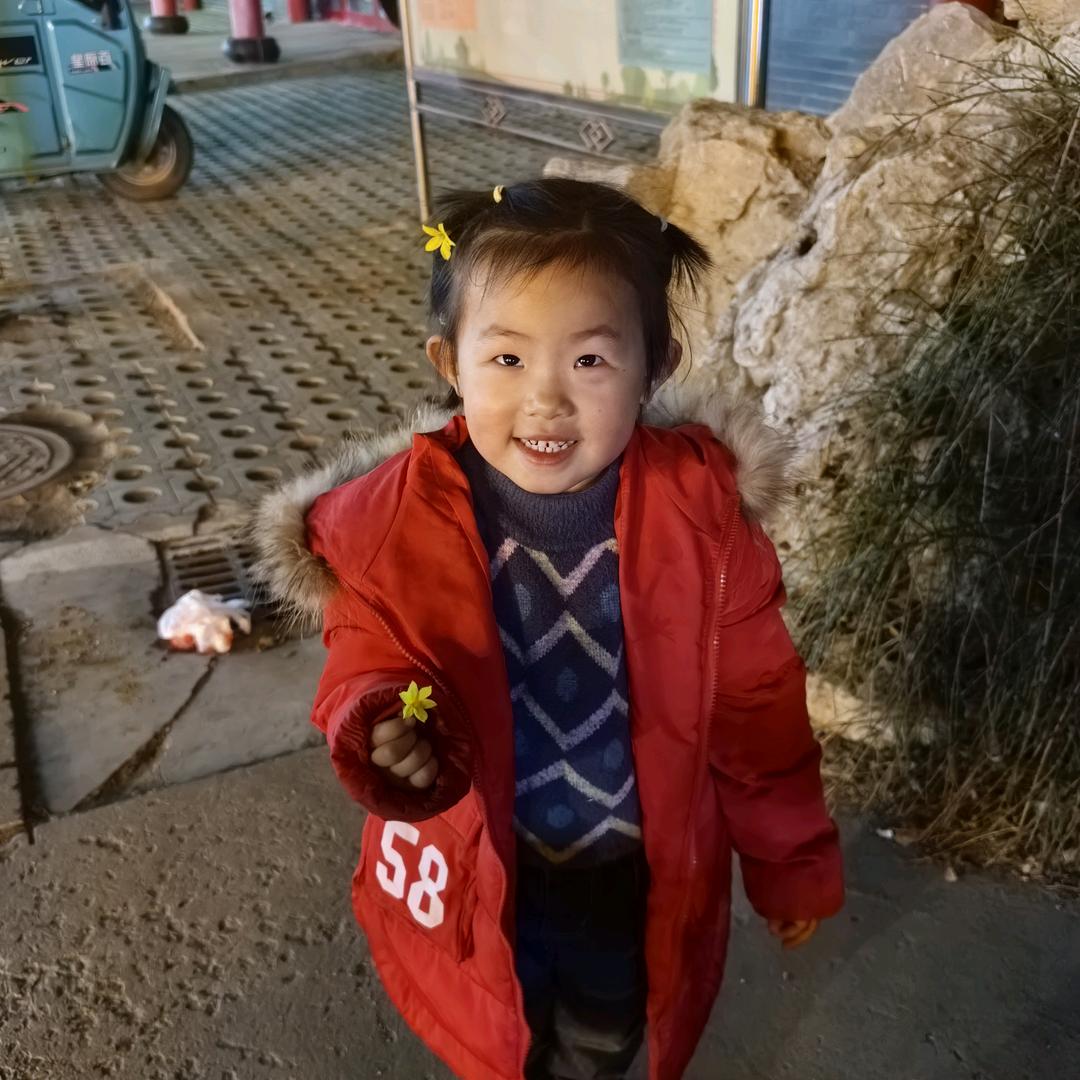 刘万里