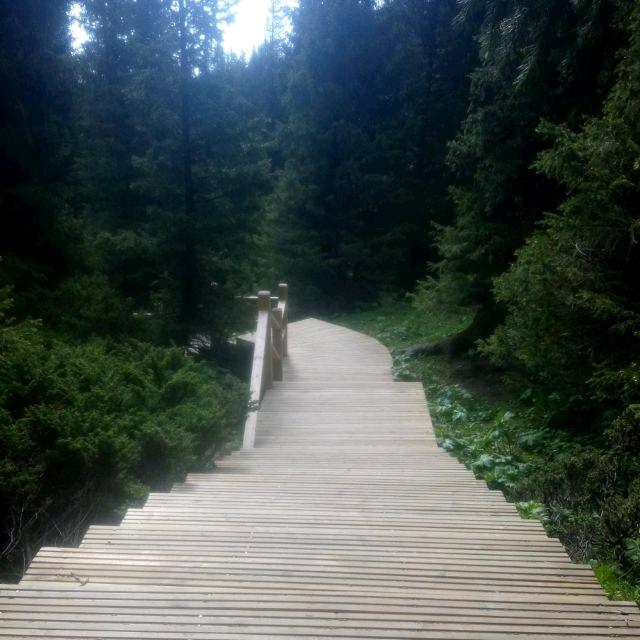 风止何安✺◟(∗❛ัᴗ❛ั∗)◞✺