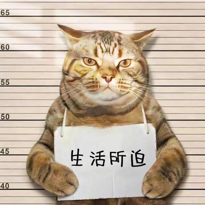 笑blue齿