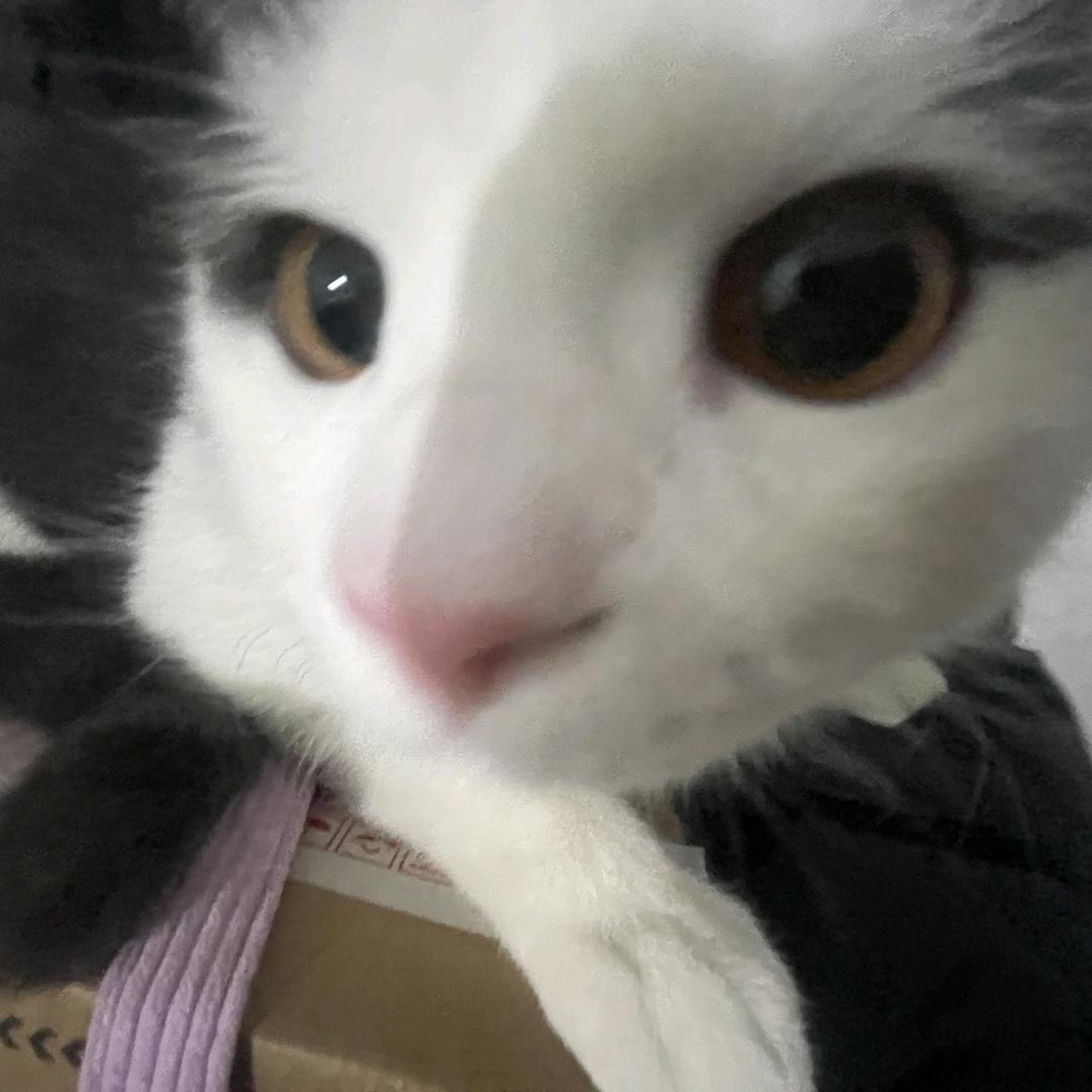 夕.