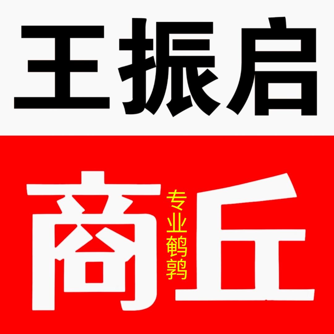 商丘王振启