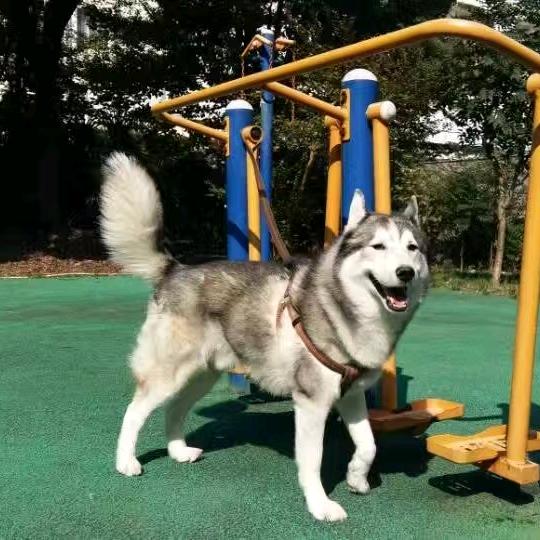 S先生.