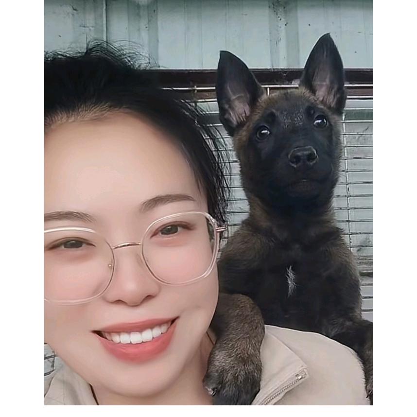 马犬狗仔队