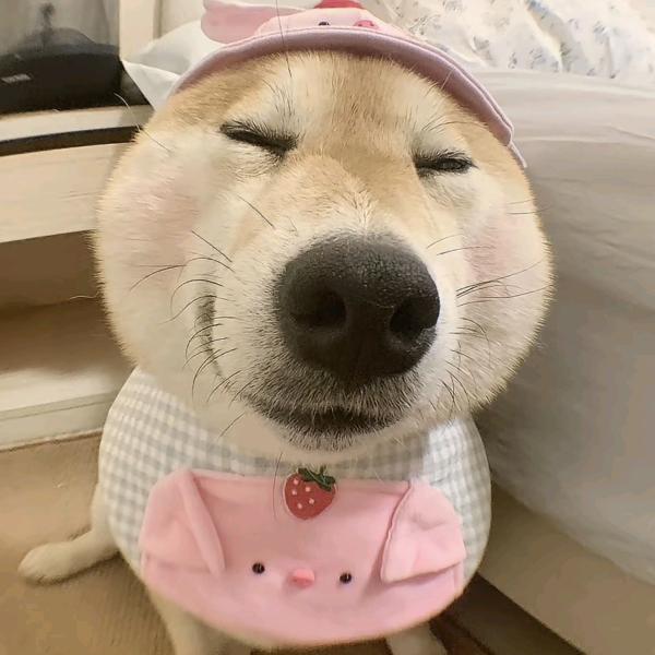 。。。